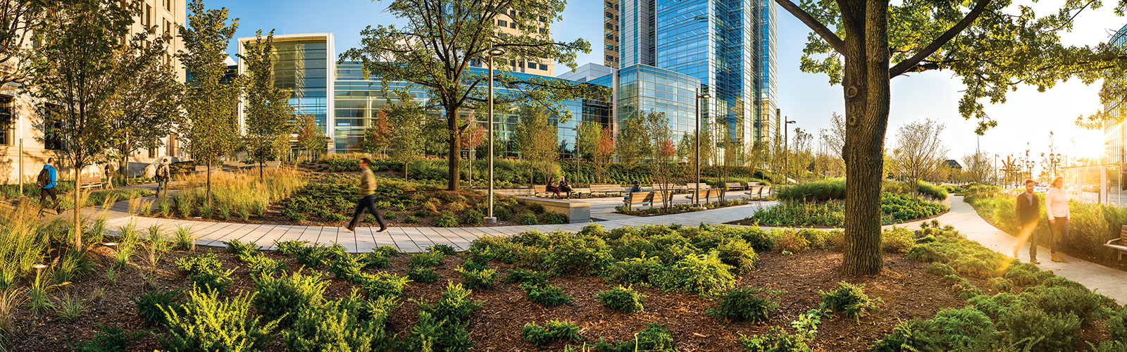 a park with trees and plants in front of a building