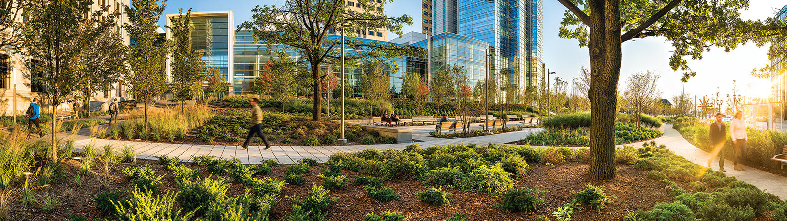 a park with trees and plants in front of a building