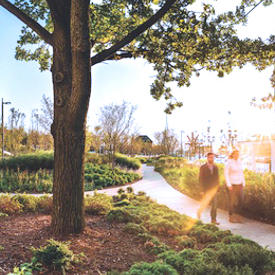 Parks And Recreation